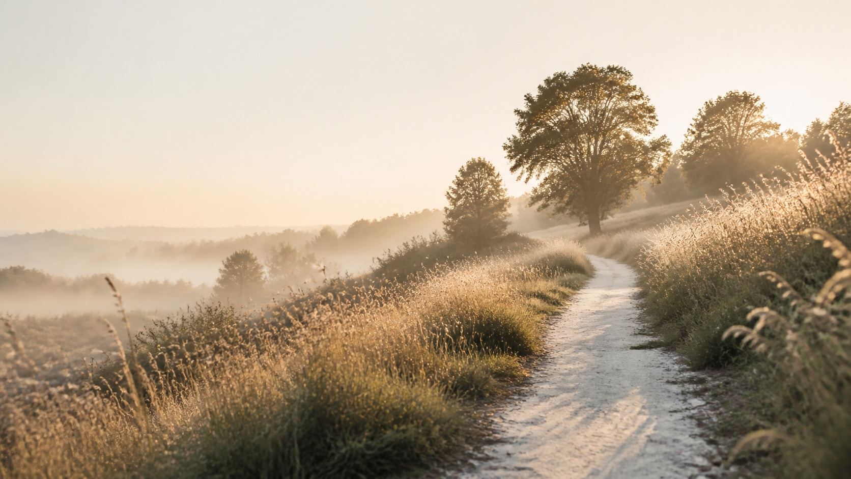 Een rustig pad door het landschap in het warme ochtendlicht